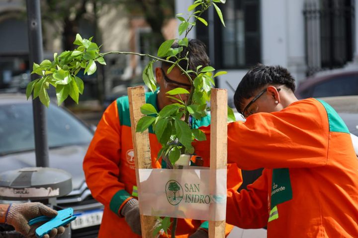 San Isidro: el Plan Integral de Arbolado ya sumó 1500 nuevos árboles y se hicieron 3000 podas