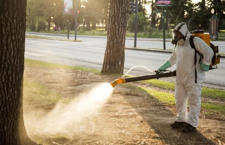 San Isidro lanzó una campaña integral para prevenir el dengue