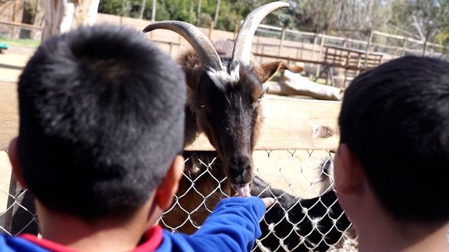 La Granja Don Benito brinda visitas guiadas a más de 400 escuelas