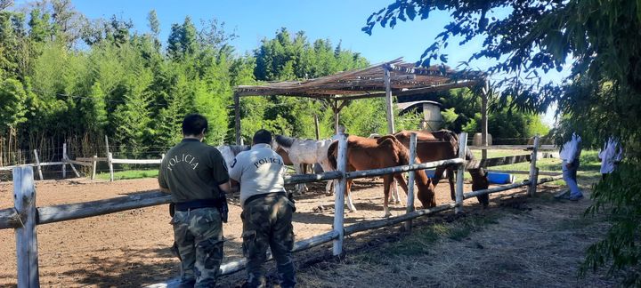 Escobar clausuró preventivamente el sector hípico del barrio Haras Santa María por irregularidades