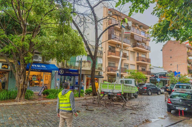 San Fernando reacondiciona la ciudad tras el temporal de vientos de 100 km/h