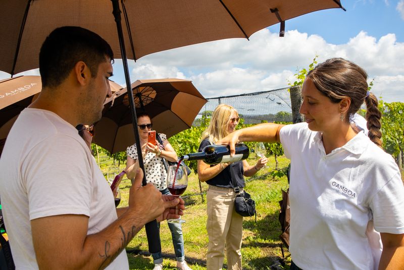 Visitas guiadas a la Bodega Gamboa: más vecinos disfrutan una experiencia de forma gratuita